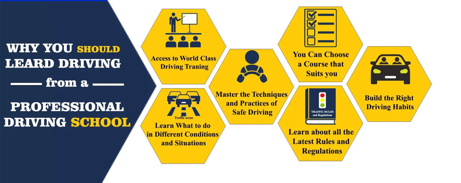 Driving School Infographics